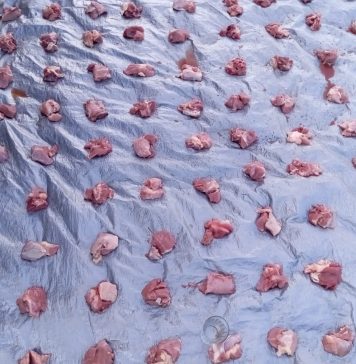 Di Tengah Anggaran Rp70 Miliar Lebih, Warga Korban Banjir Aceh Timur Hanya Terima Segenggam Daging Meugang