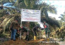 Enam Desa Sesalkan PT Barapala Acuhkan Negara, Panen Sawit di Lahan Status Quo